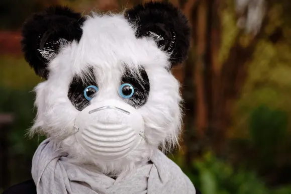 HeySpin Kaszinó Támogatás